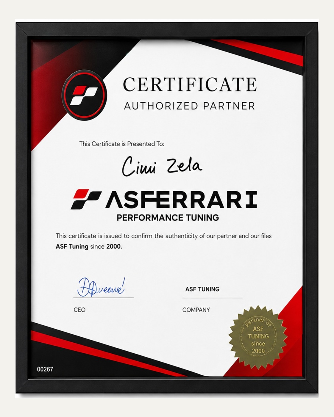AS Ferrari authorized partner certificate