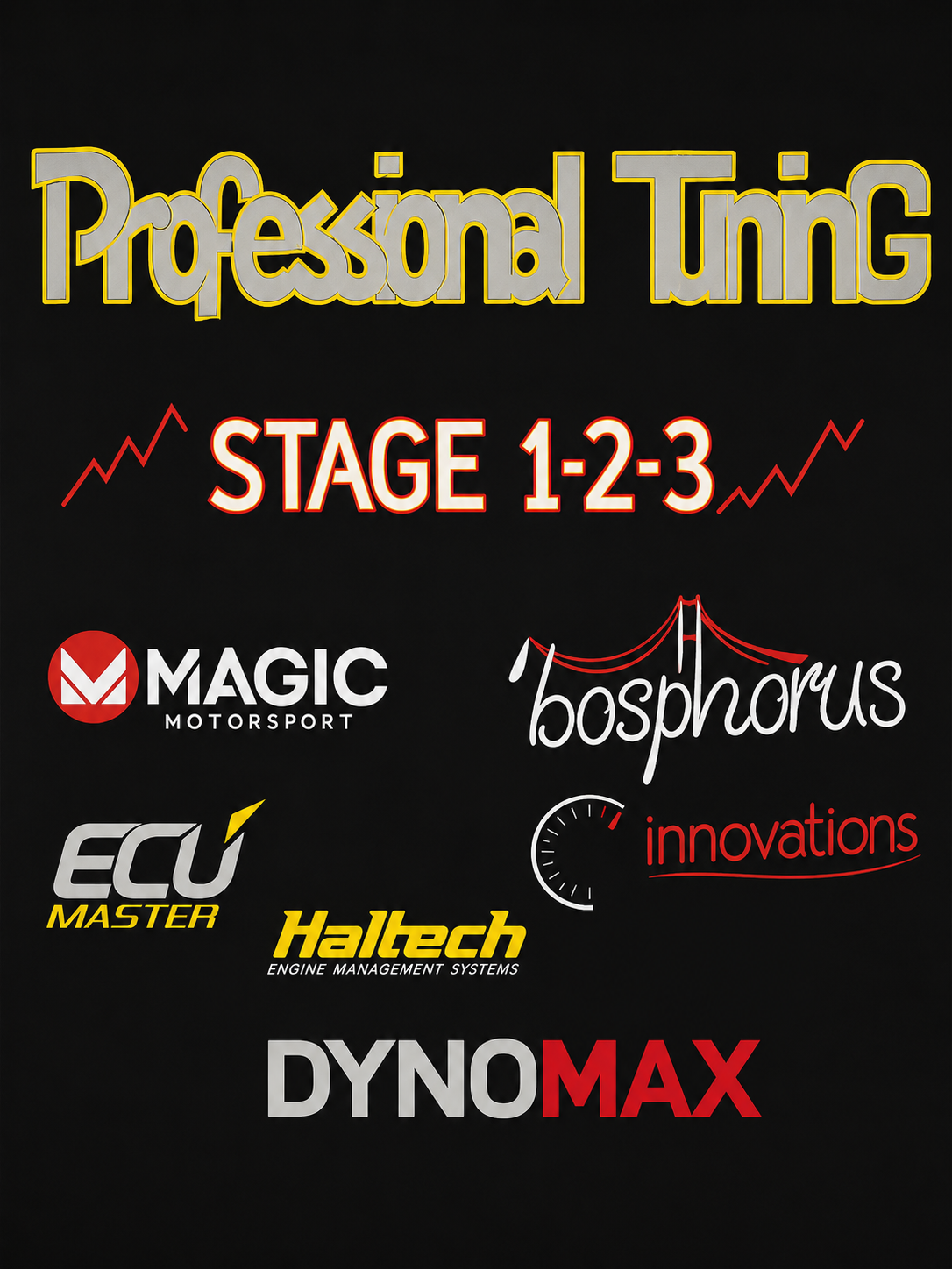 Professional Tuning Stage 1-2-3 certificate