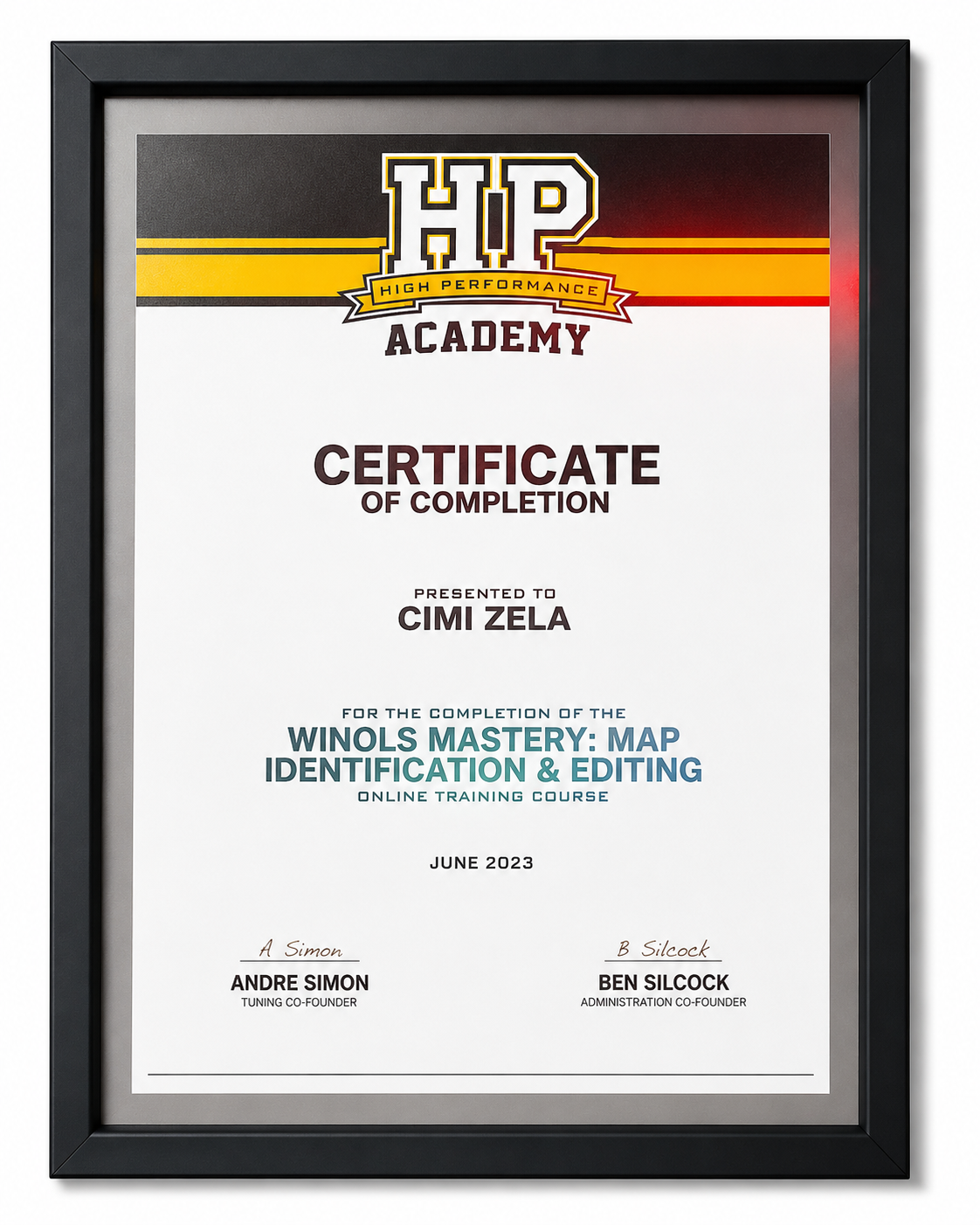 WinOLS mastery map identification and editing certificate