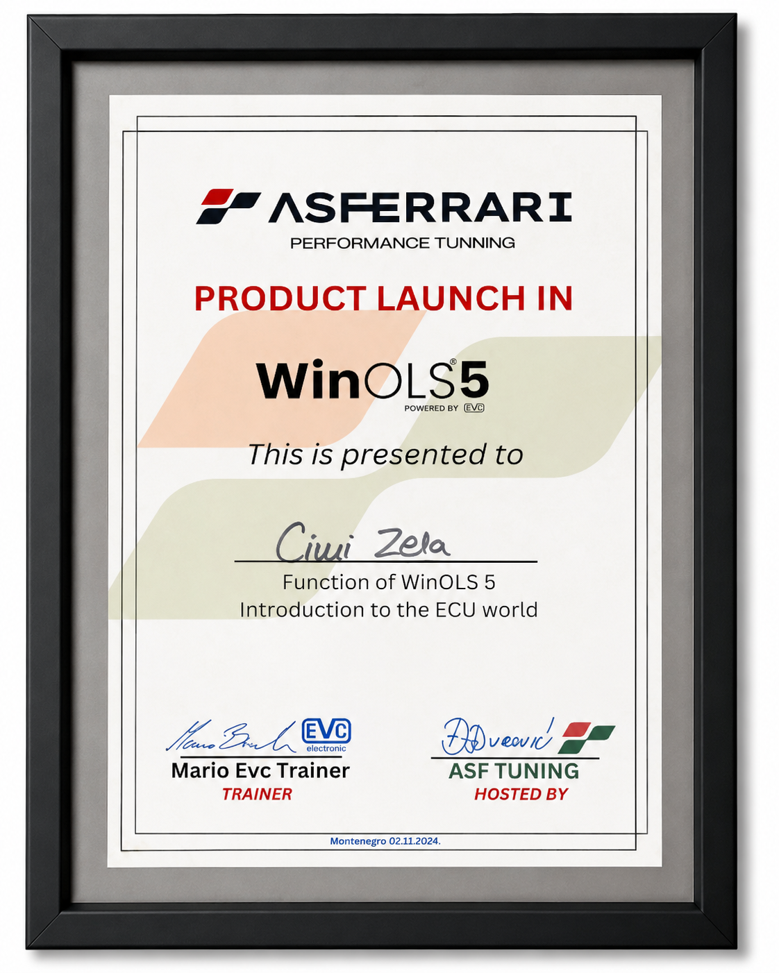 WinOLS 5 product launch certificate